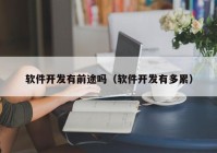 软件开发有前途吗（软件开发有多累）